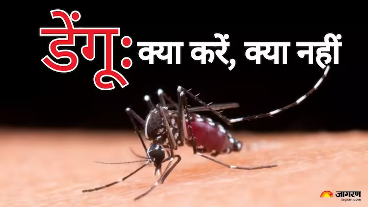 Dengue के प्रकोप से करना चाहते हैं अपनों का बचाव ? 2024